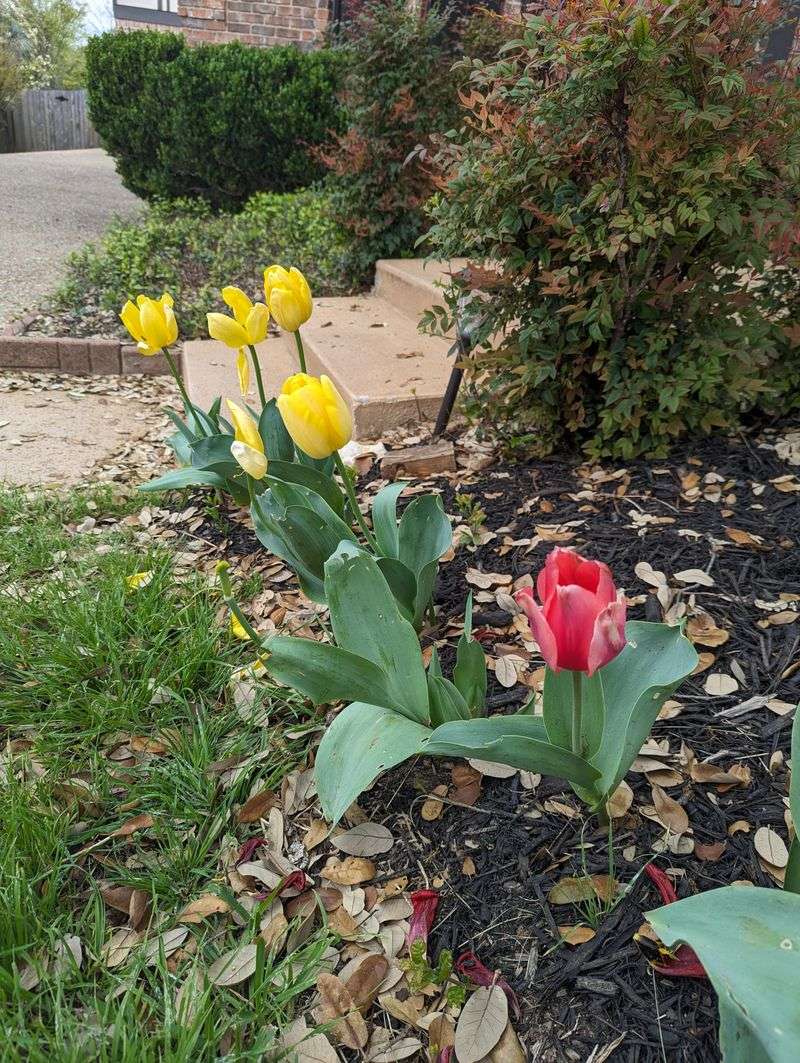 Balance Water And Fertilizer For Best Results