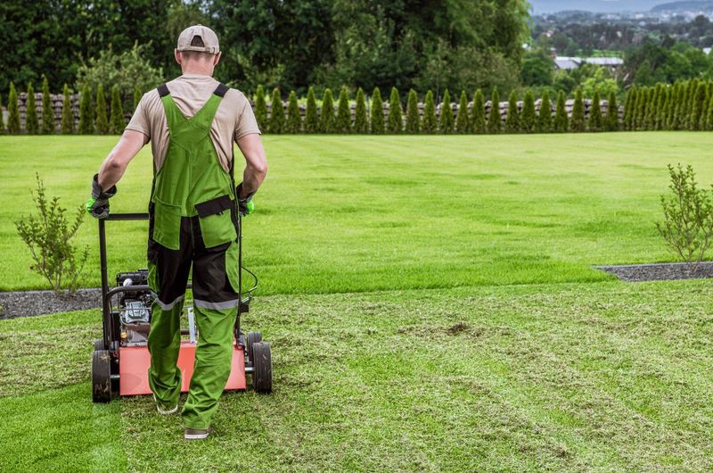 Smart Lawn Care Helps Florida Grass Thrive All Season