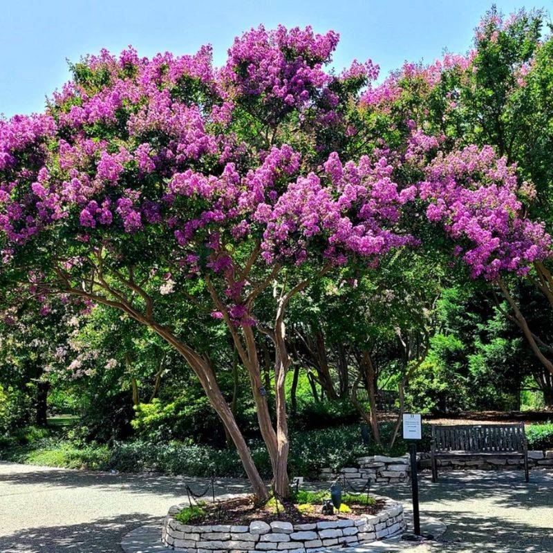 The Wrong Size Creates A Landscape Headache