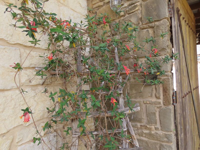 Ignoring Drainage While Focusing Only On Water