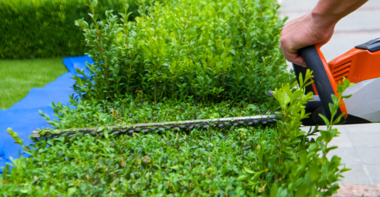 Trim Or Prune? What Pennsylvania Gardeners Need To Do At The Right Time