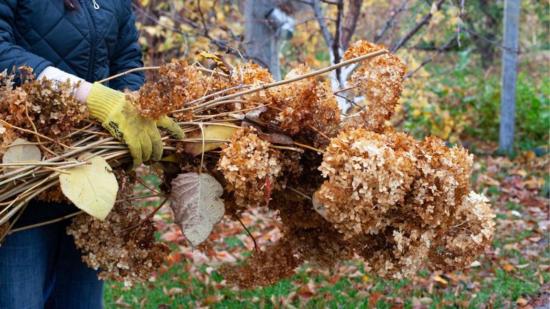 Clear The Ground For Healthier Roots