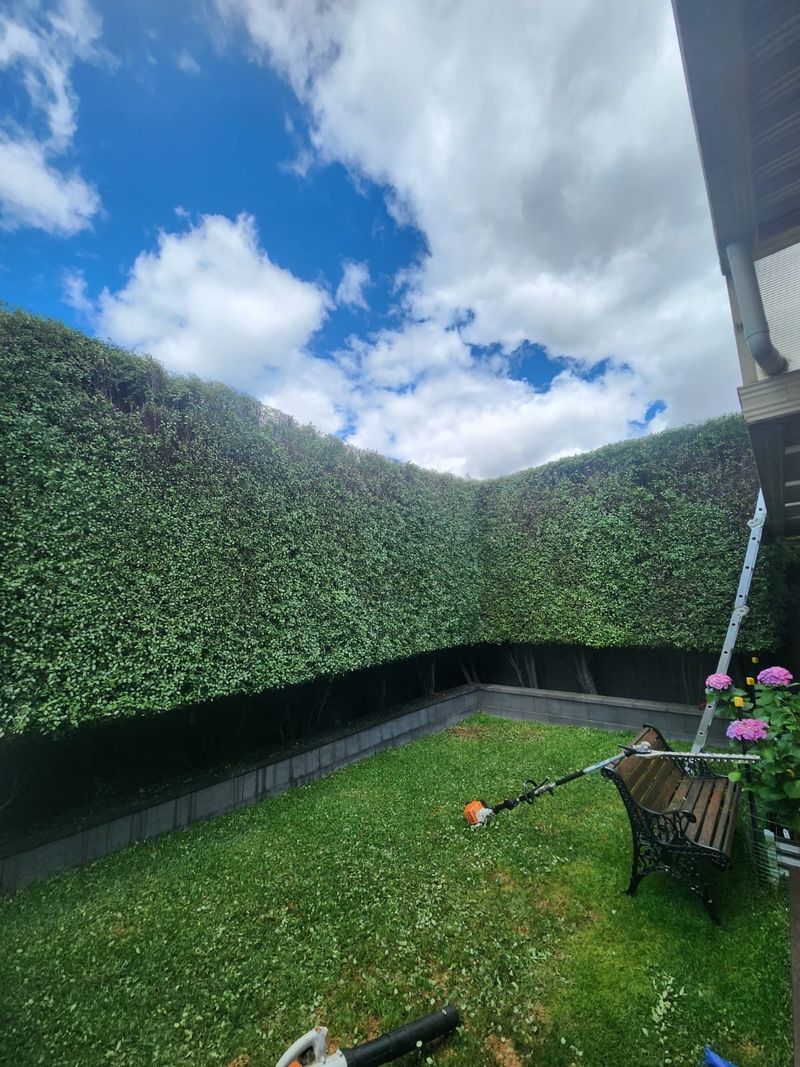 Trimming Focuses On Appearance