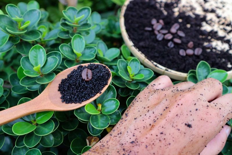 Improve Michigan Soil Health With Every Scoop