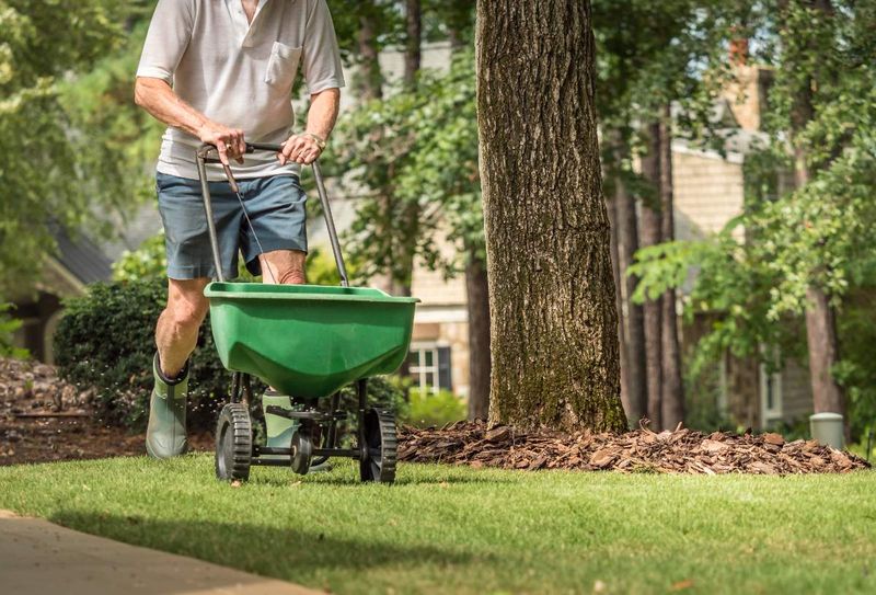 How To Apply Fertilizer Correctly In March?