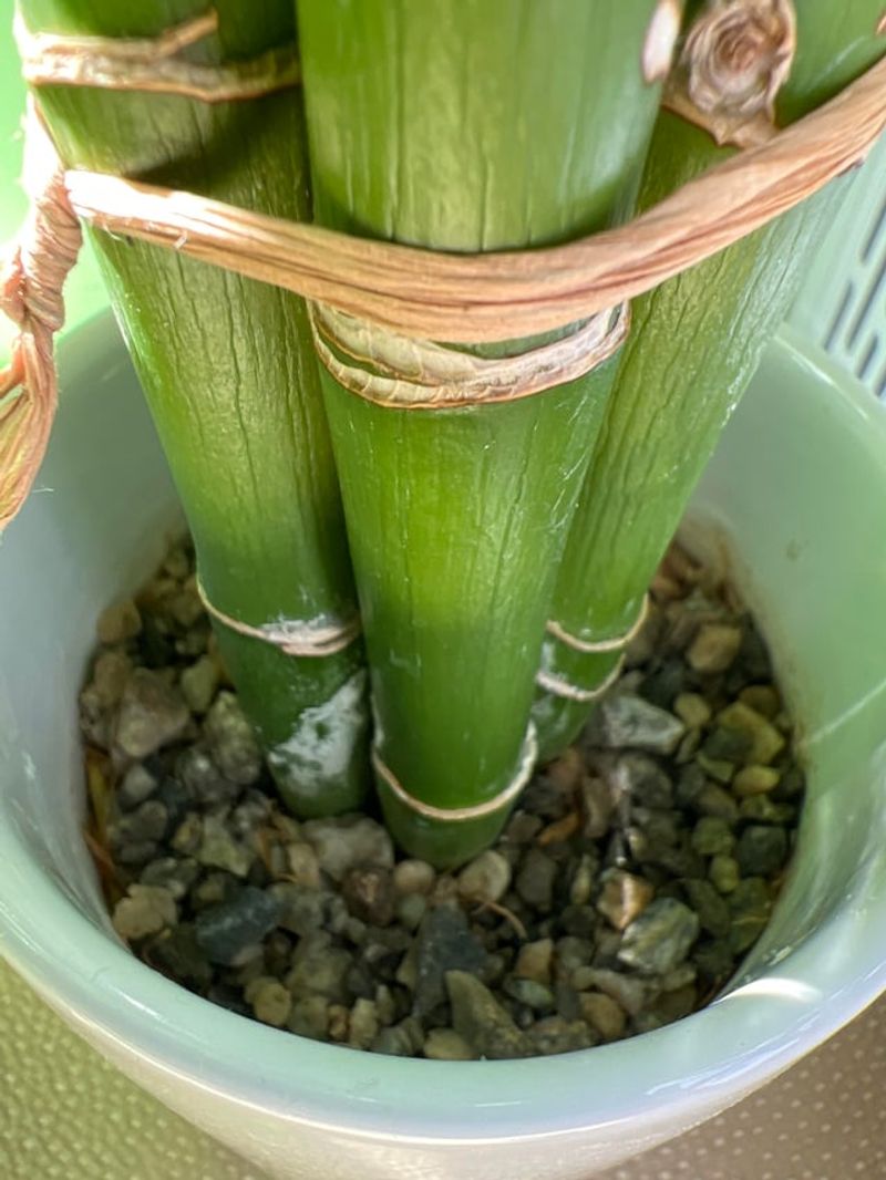 Choose The Right Water