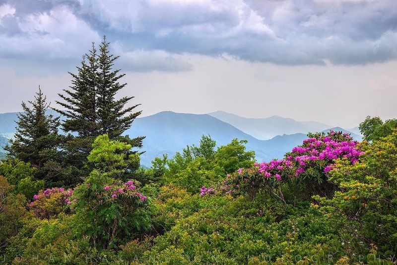 Western North Carolina's Unique Climate And Elevation Challenges