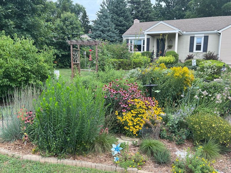 Native Plant Gardens Can Enhance Your Ohio Yard