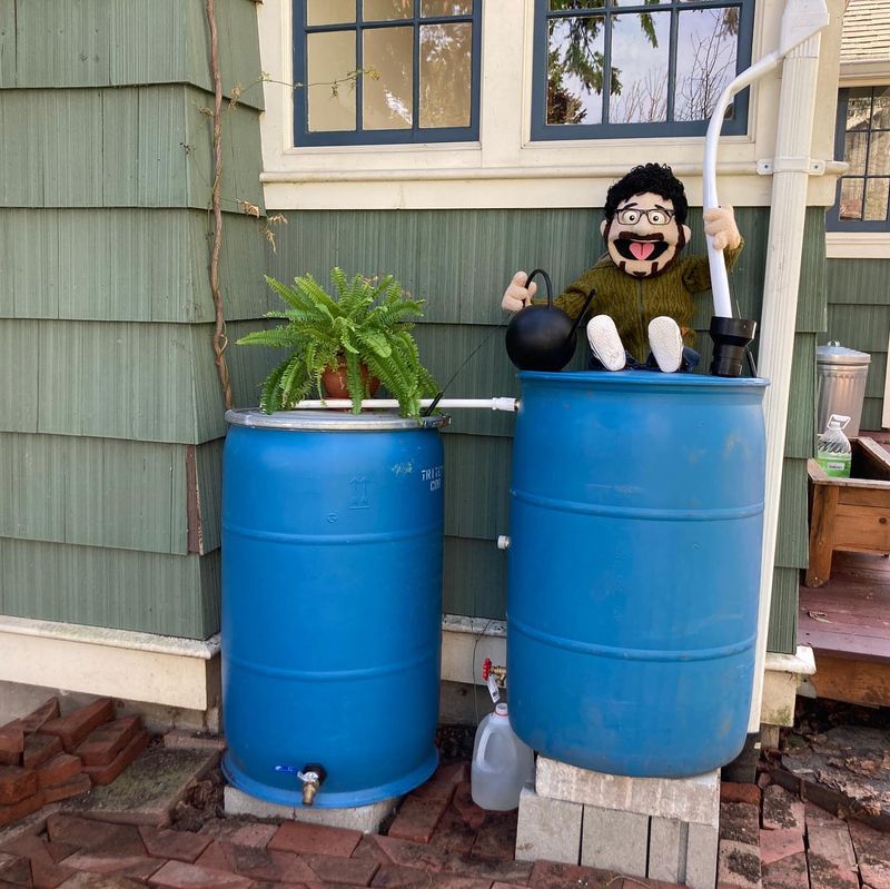 Environmental Awareness Drives Sustainable Gardening Practices