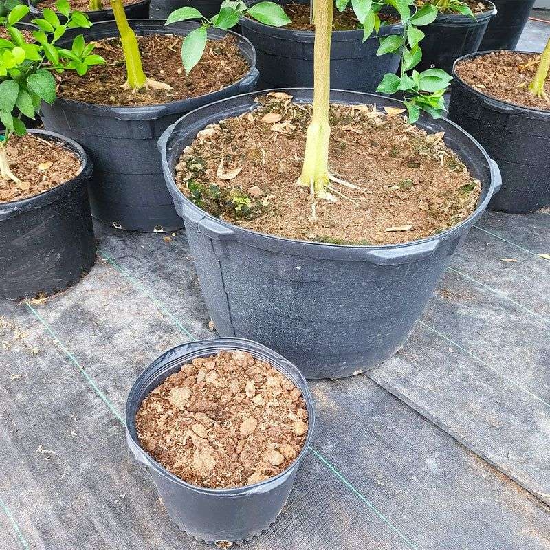 Select The Right Soil Mix