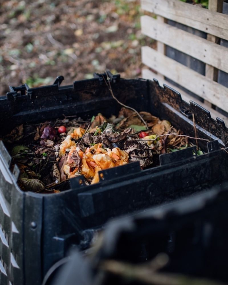 Add Citrus Scraps To Compost Instead Of Throwing Them Away