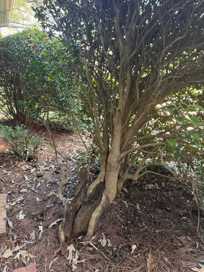 Open The Center Slightly To Improve Airflow