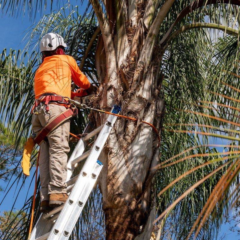 Know When To Call A Professional