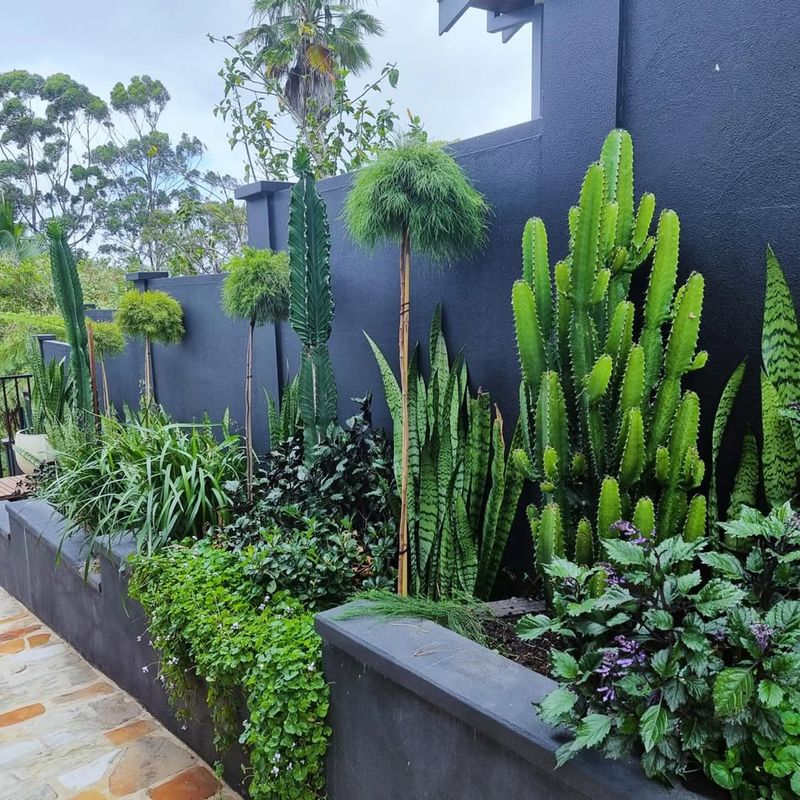 Plant In Sheltered Locations