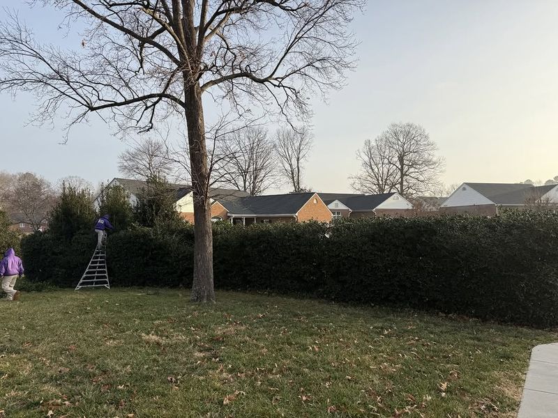 Adjust Pruning Timing For North Florida Versus South Florida