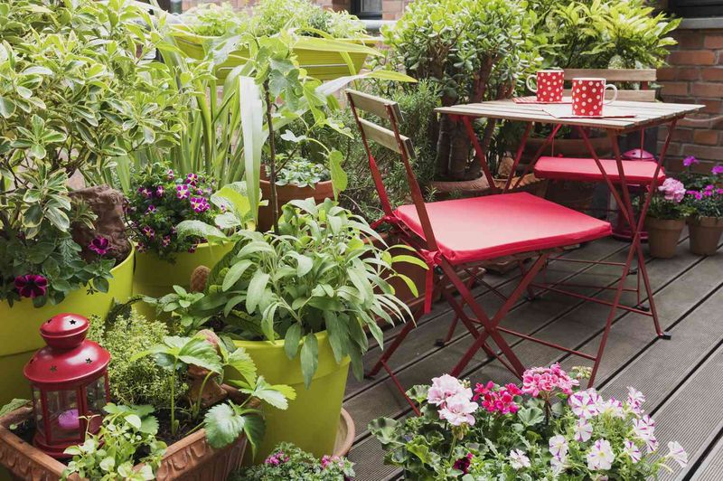 Cluster Drought-Tolerant Containers Near Seating Areas