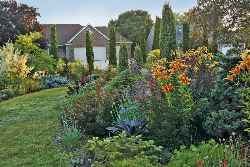 Group Plants Tightly To Eliminate Gaps