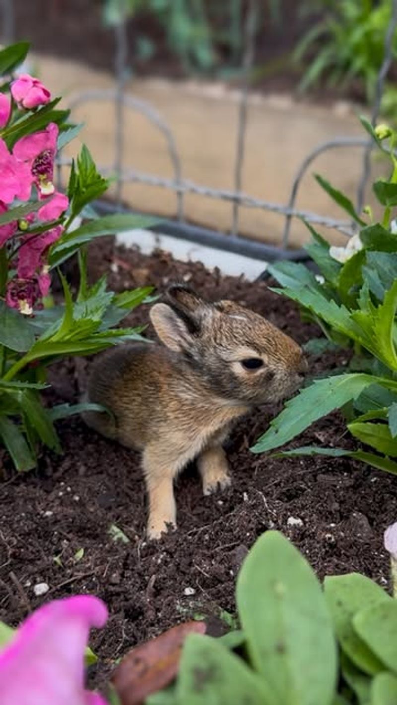 Place Beds In More Open, Active Areas