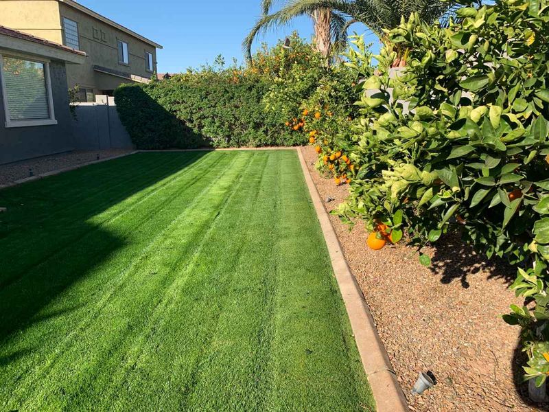 Keep Gardens Clean And Free Of Debris