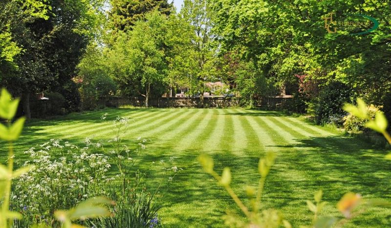 Maintain Proper Lawn Care Practices Year-Round