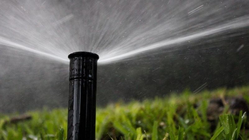 Water Lawns Carefully After Fertilizing