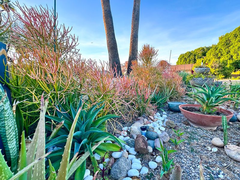 Build A Yard That Looks Full, Colorful, And Easy To Maintain