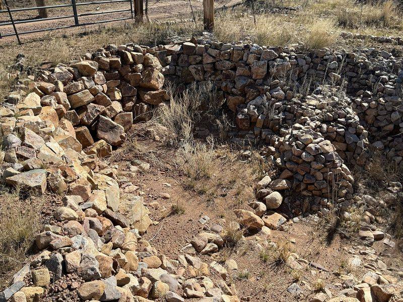 Clear Nearby Shelter That Attracts Wildlife