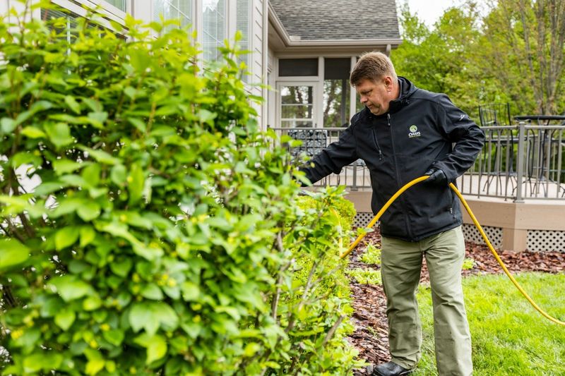 Water And Mulch To Support New Growth