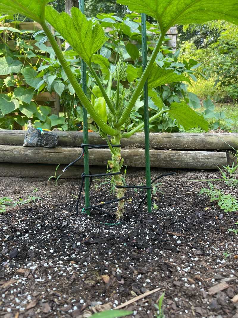 Use Soft Ties For Support