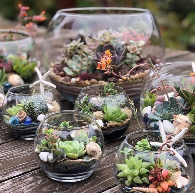 Water Just Enough To Stay Safe