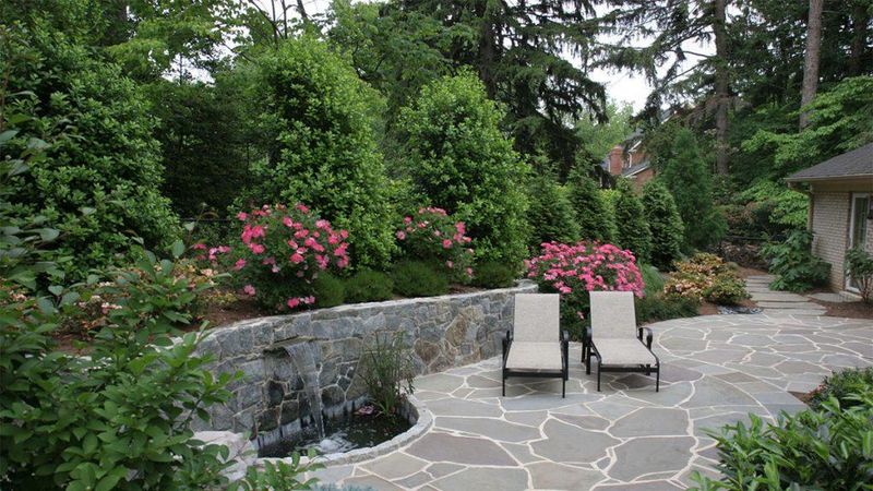 Create A Layered Privacy Screen With Trees And Shrubs