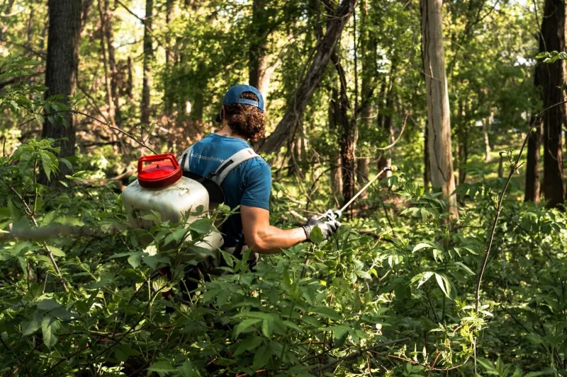 Apply Herbicides Carefully When Needed