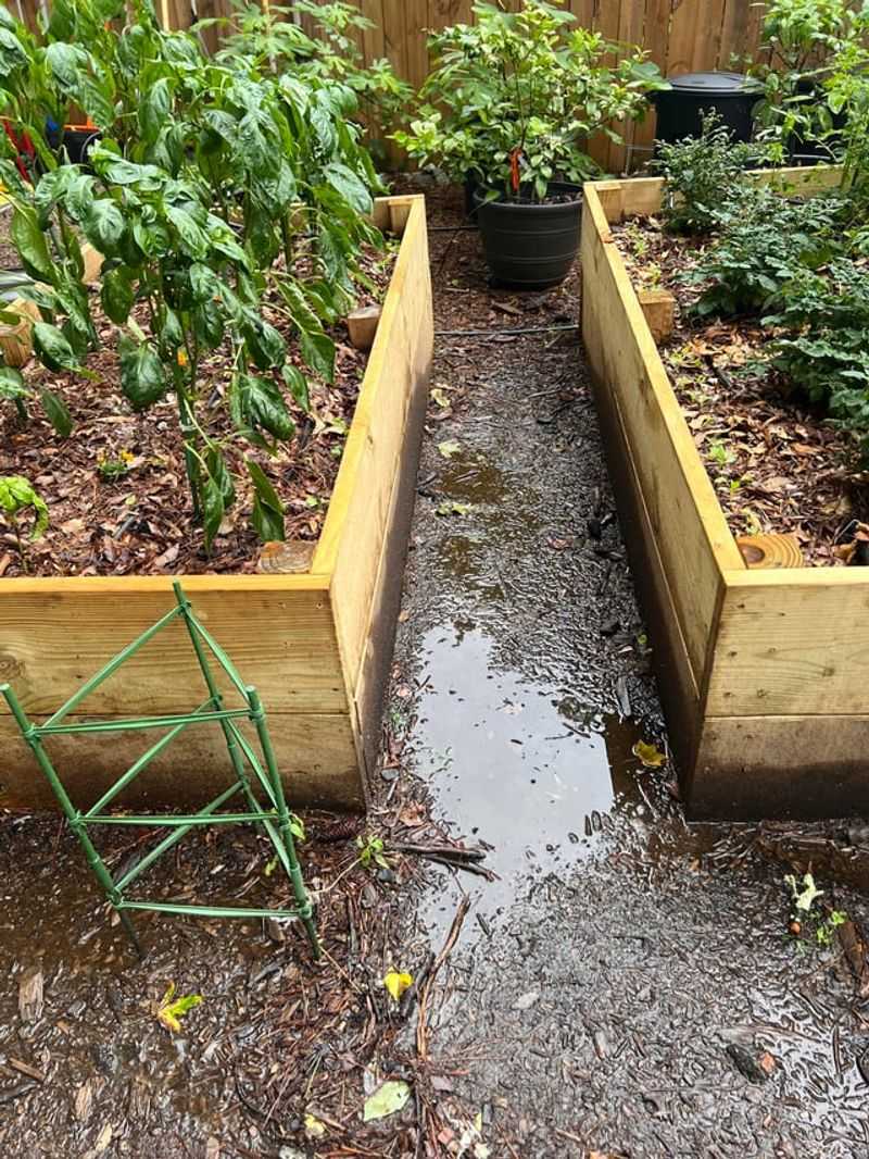 Ignoring Drainage In Wet Winter Months
