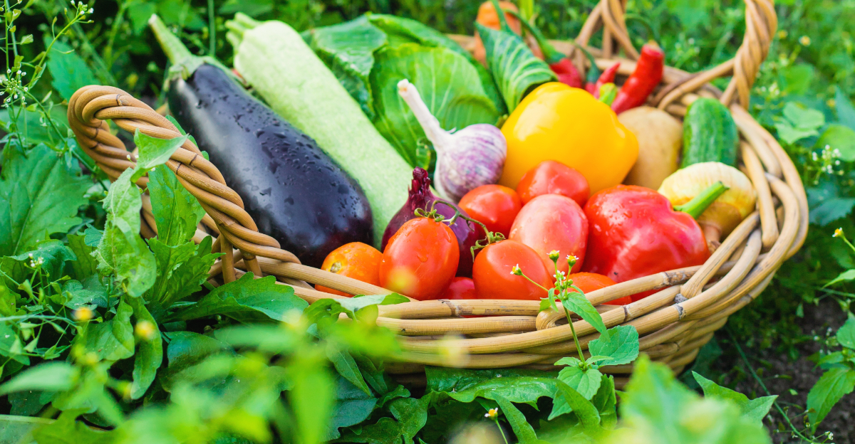 vegetable harvest