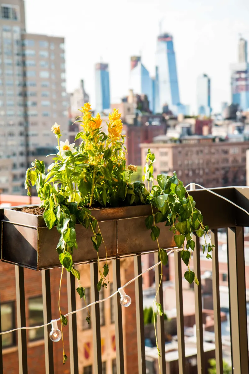 Railing Planter Boxes