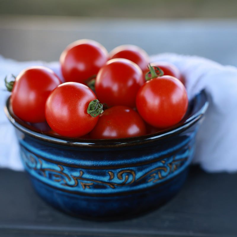 Performs Well In Containers And Raised Beds