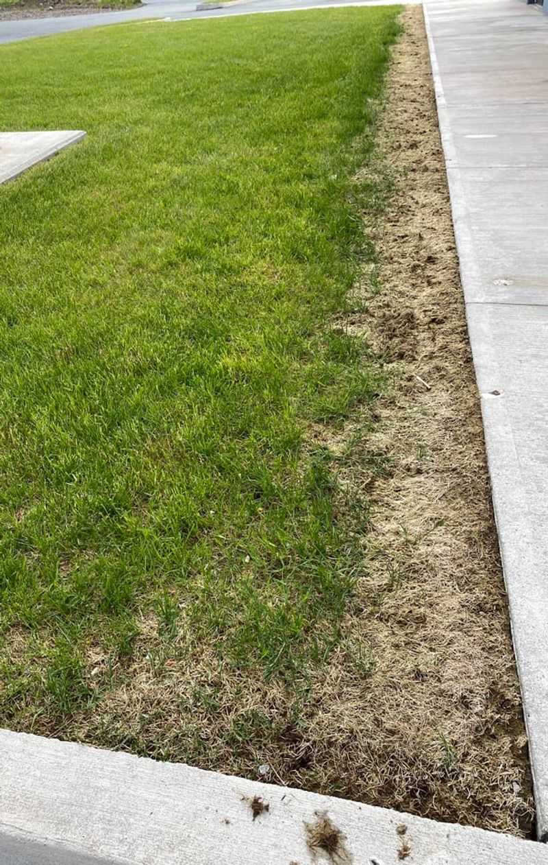 Check Low Spots For Ice Damage