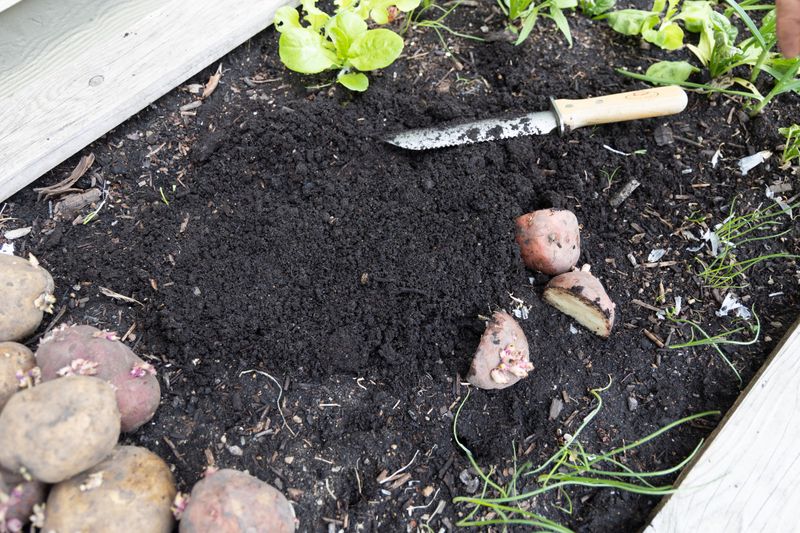 The Best First Step Is Checking Soil Not The Calendar