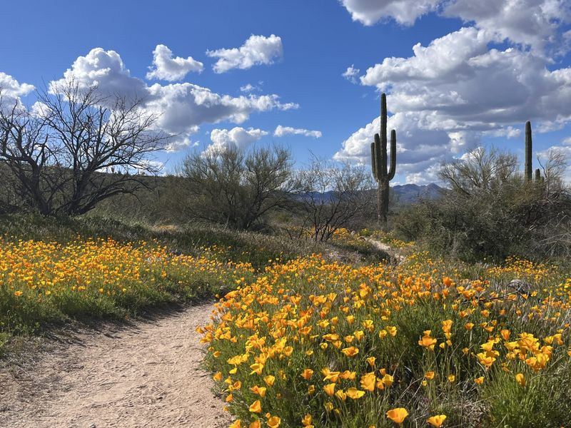 Low Desert And Higher Elevations Do Not Move At The Same Speed