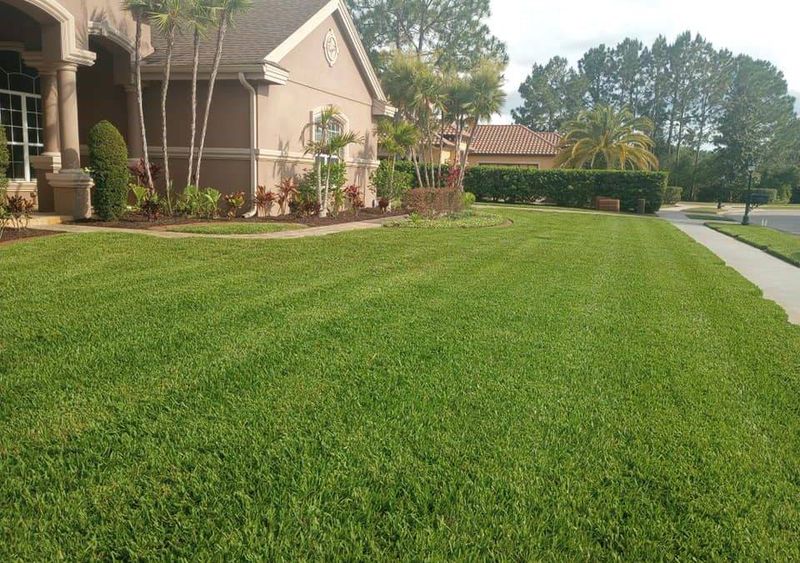 Follow The Florida Lawn Signs That Matter