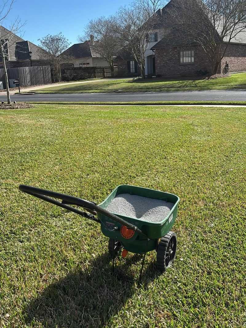 Apply Treatment In Late Winter Or Very Early Spring