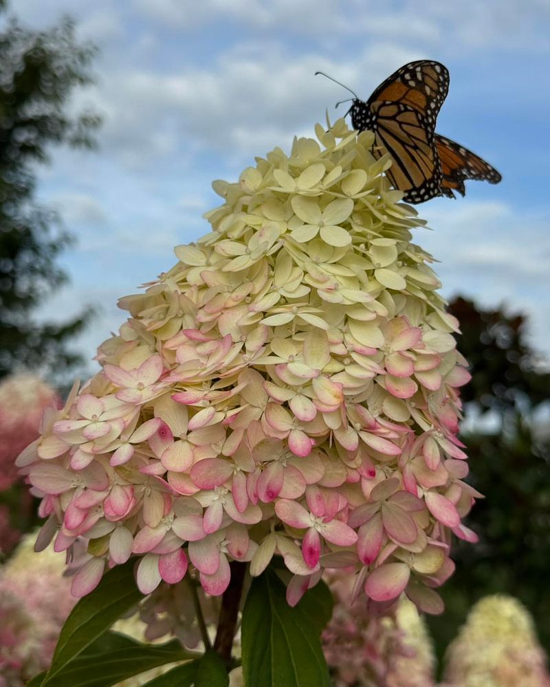 Seasonal Timing Matches Wildlife Life Cycles