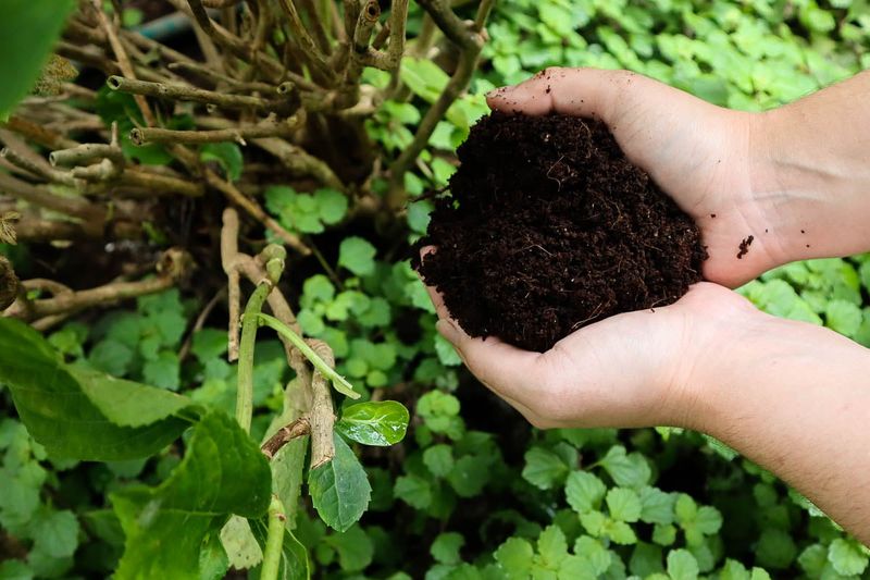 Add Compost To Improve Soil Health