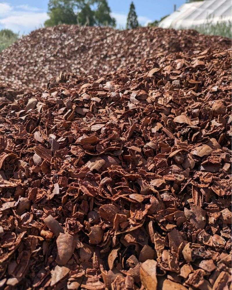 Use Mulch To Keep Soil Cooler And Hold Moisture