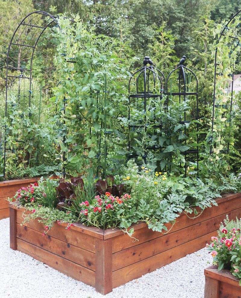 Stake And Support Fast-Growing Plants Before They Get Too Tall