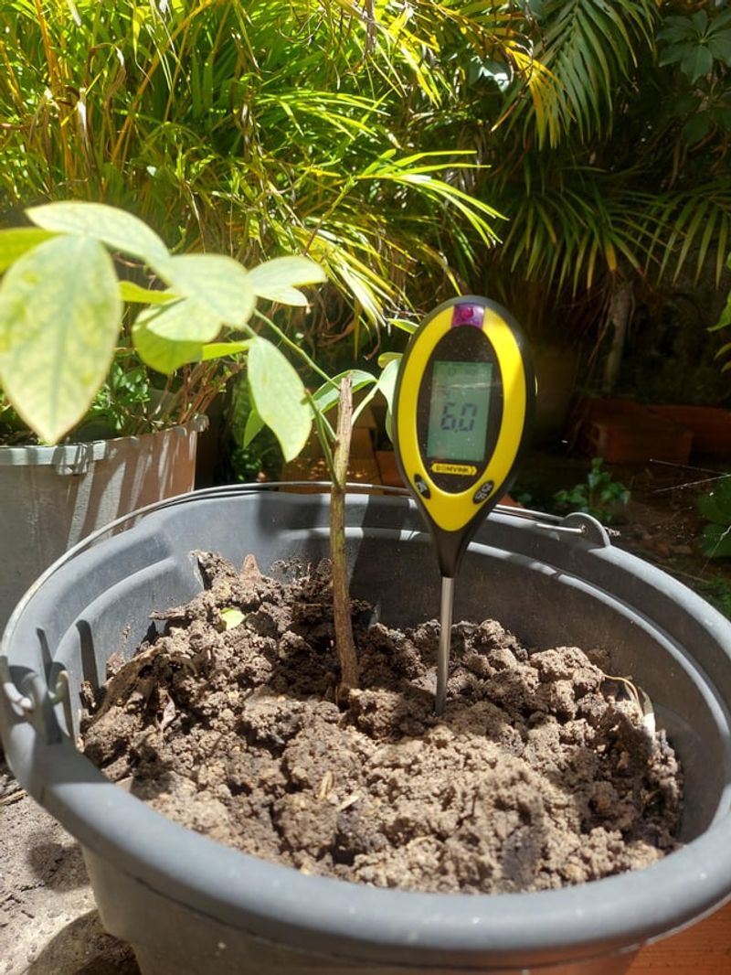 Recheck Soil pH Every Spring In Ohio