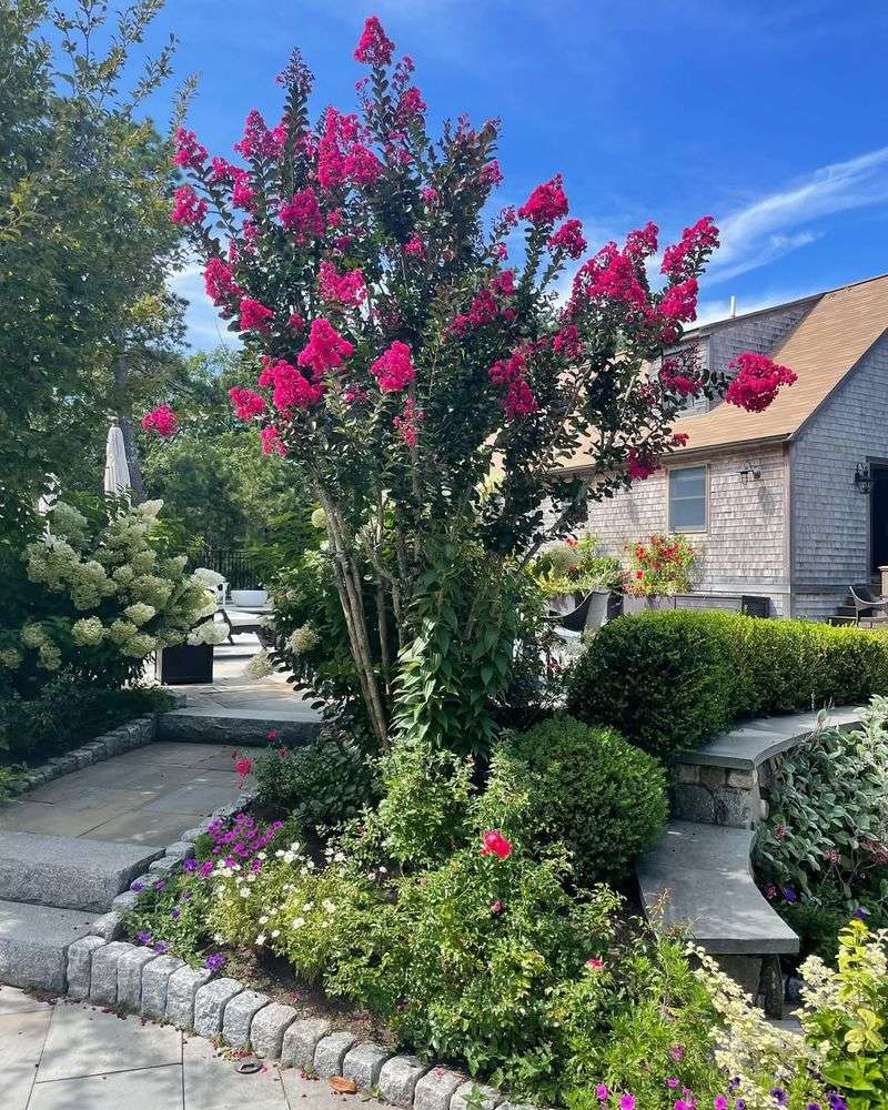 Ensure Full Sun Exposure For Strong Flowering Later