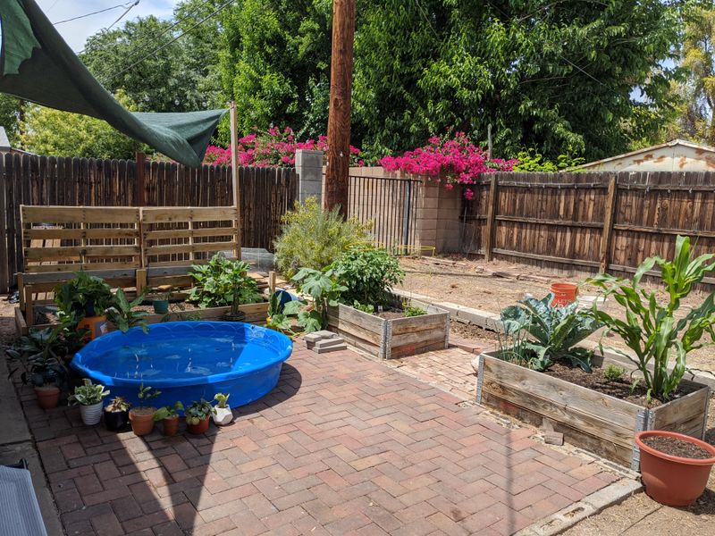 Adjust Watering As Temperatures Start To Rise