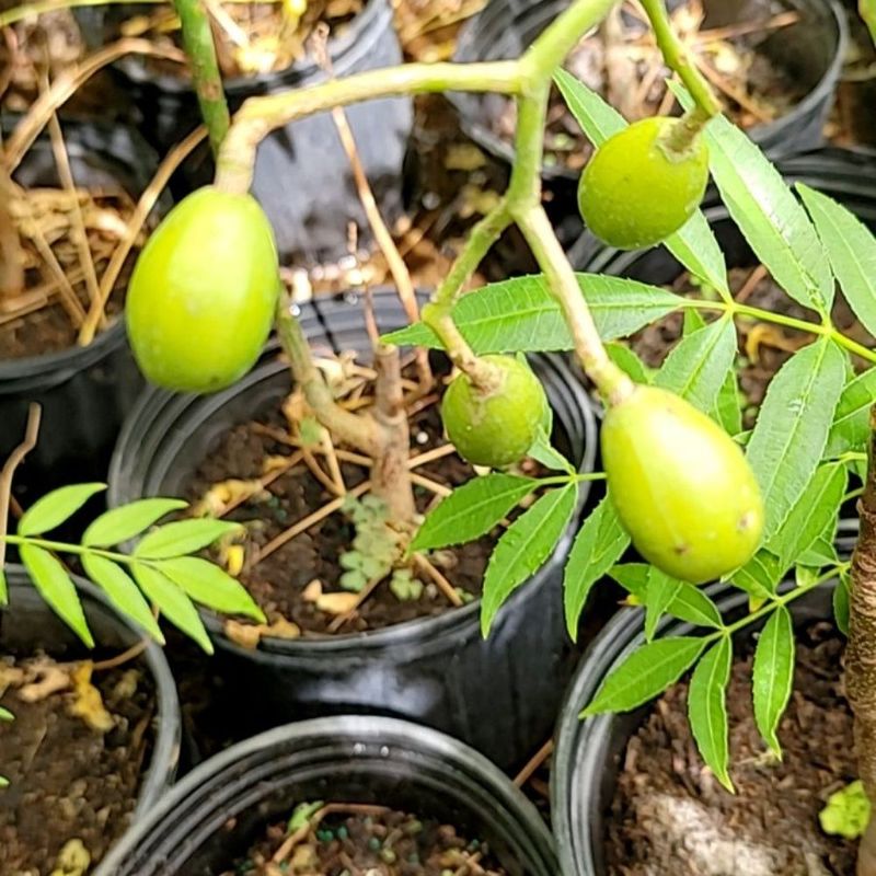 Adjust Watering As Temperatures Rise In Spring And Summer