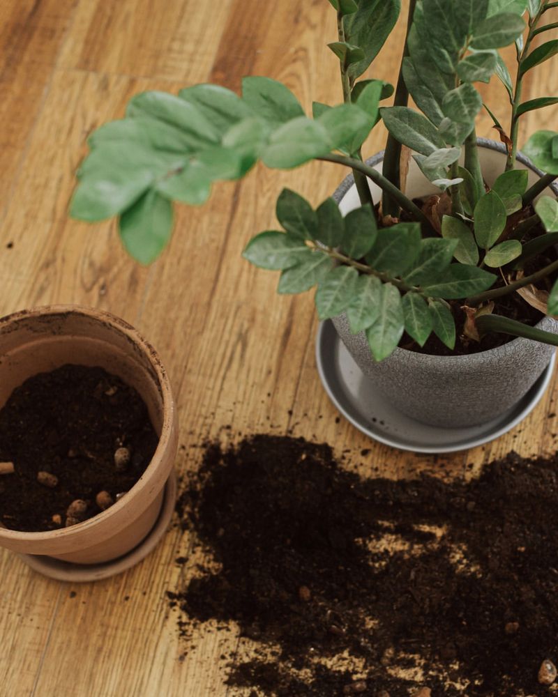 Growth Has Slowed Or Stopped Completely